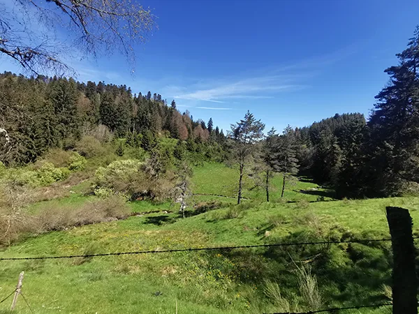 Randonnée Saint Germain l'Herm - - Auvergne - Nosvacances