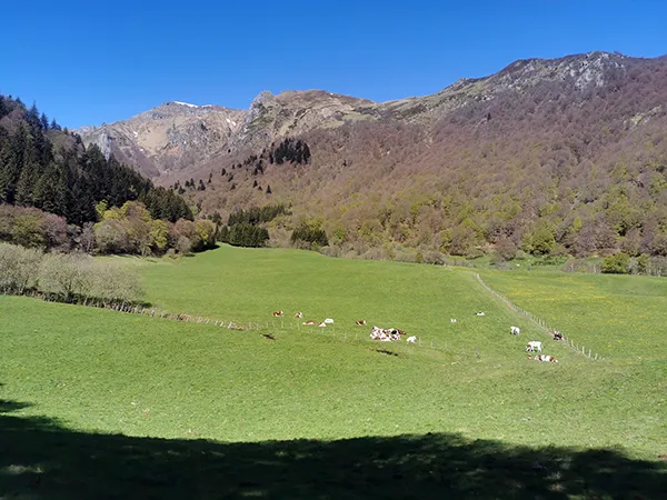 vue Vallée de Chaudefour - Nosvacances