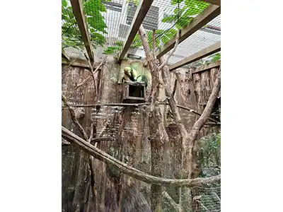 biotropica_2