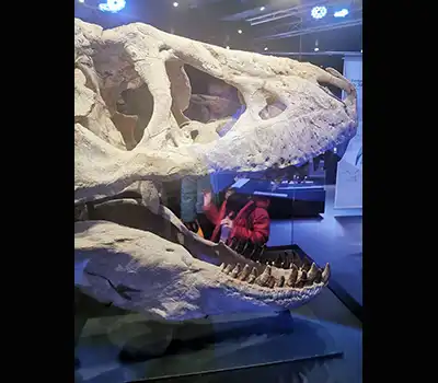 Dinosaure Paléospace Villers sur Mer Nosvacances
